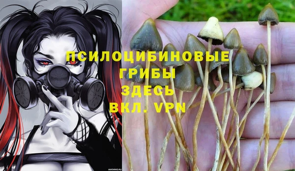 героин Алзамай