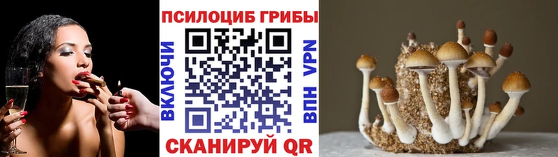 мега онион  цена наркотик  Долинск  Псилоцибиновые грибы мицелий 
