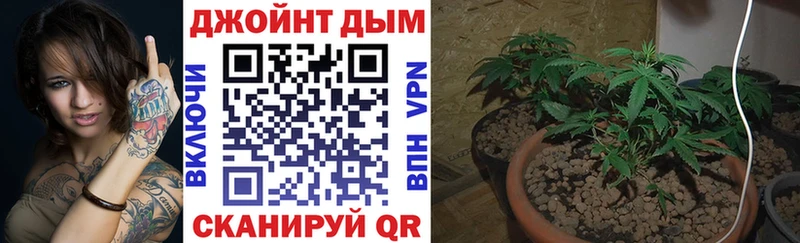 Бошки марихуана сатива  Долинск 